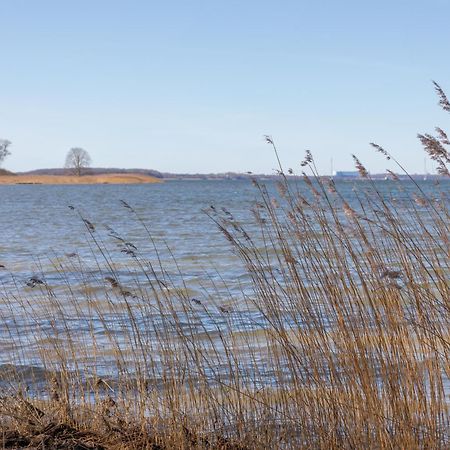 Ferienhaus Vor Ruegen Sundhagen-Niederhof Luaran gambar